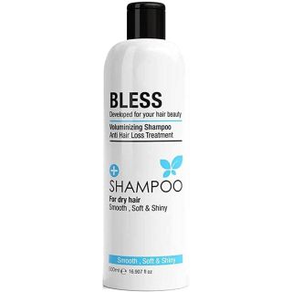 Bless Shampoo For Dry and Damaged Hair, 500 Ml
